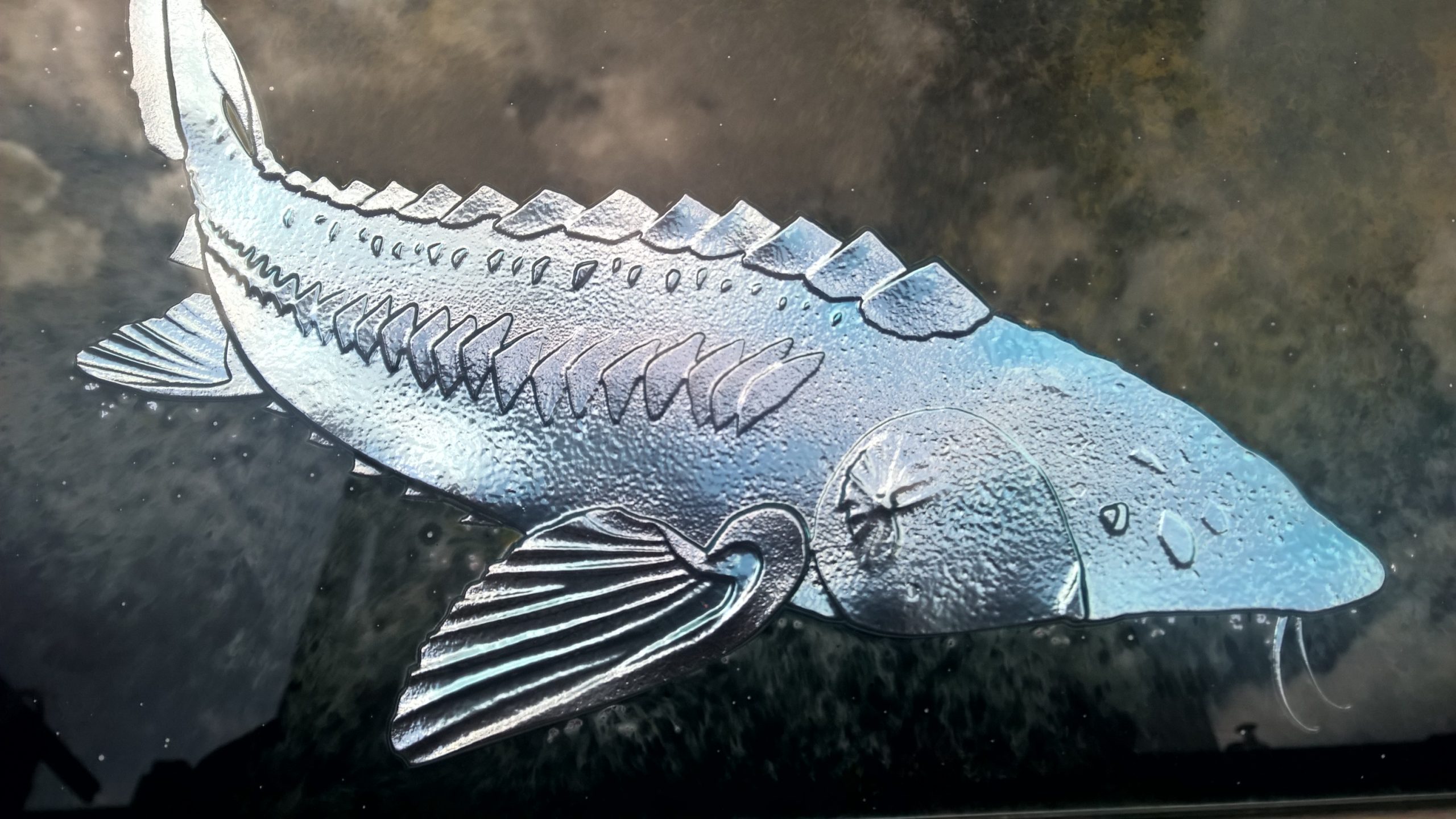 sturgeon fish glass eglomisé