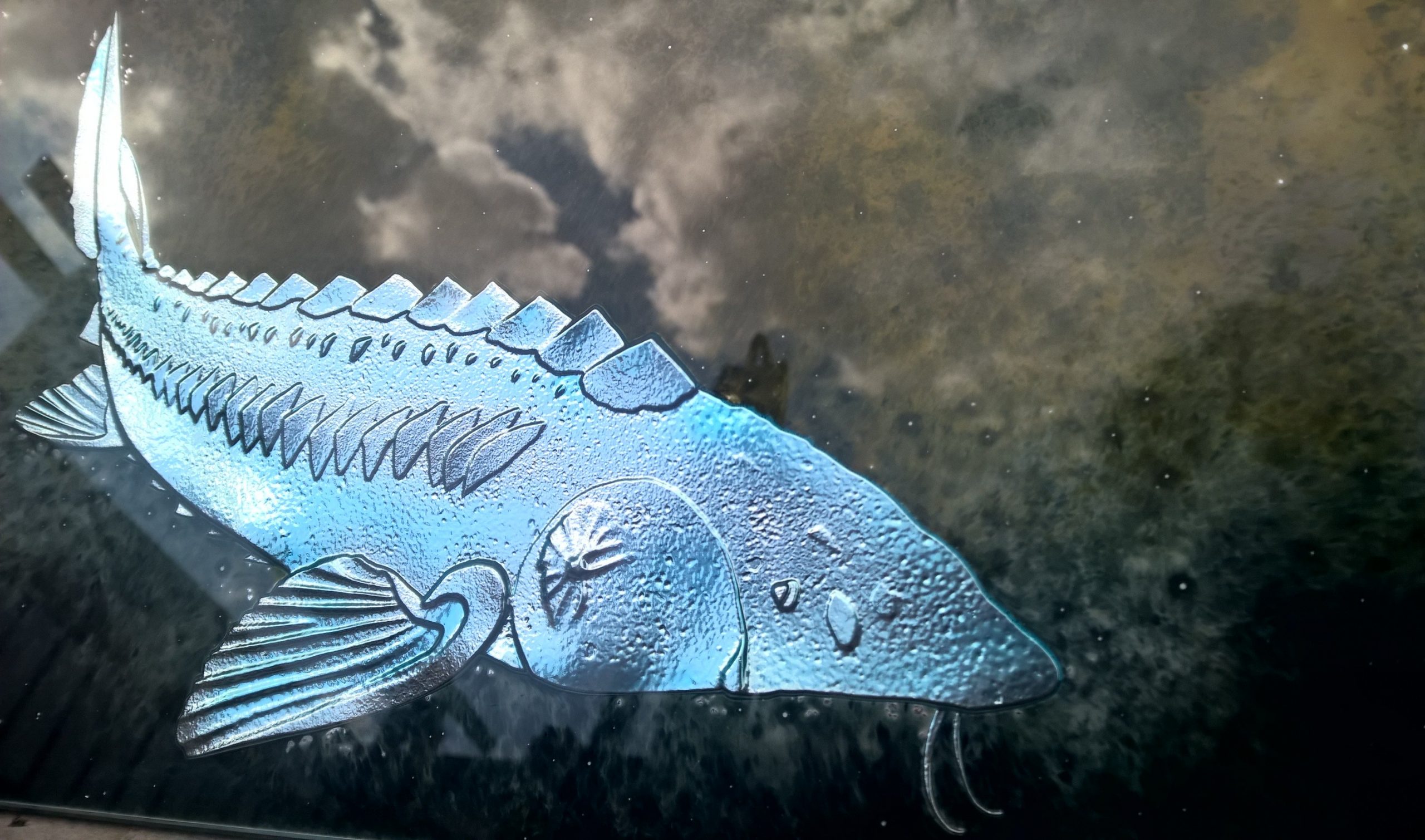 sturgeon fish glass eglomisé